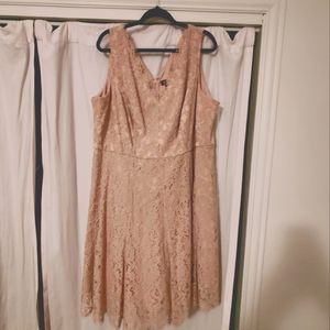 Jessica Howard 18W lace beige pink dress